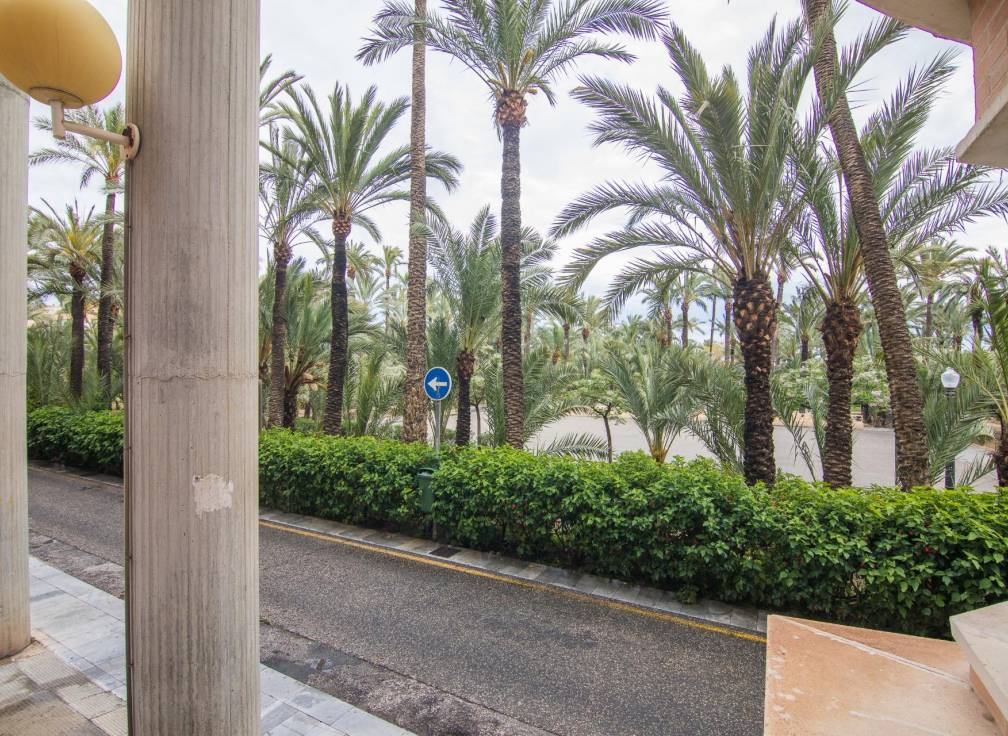 Segunda mano - Planta baja - Elche - Altabix