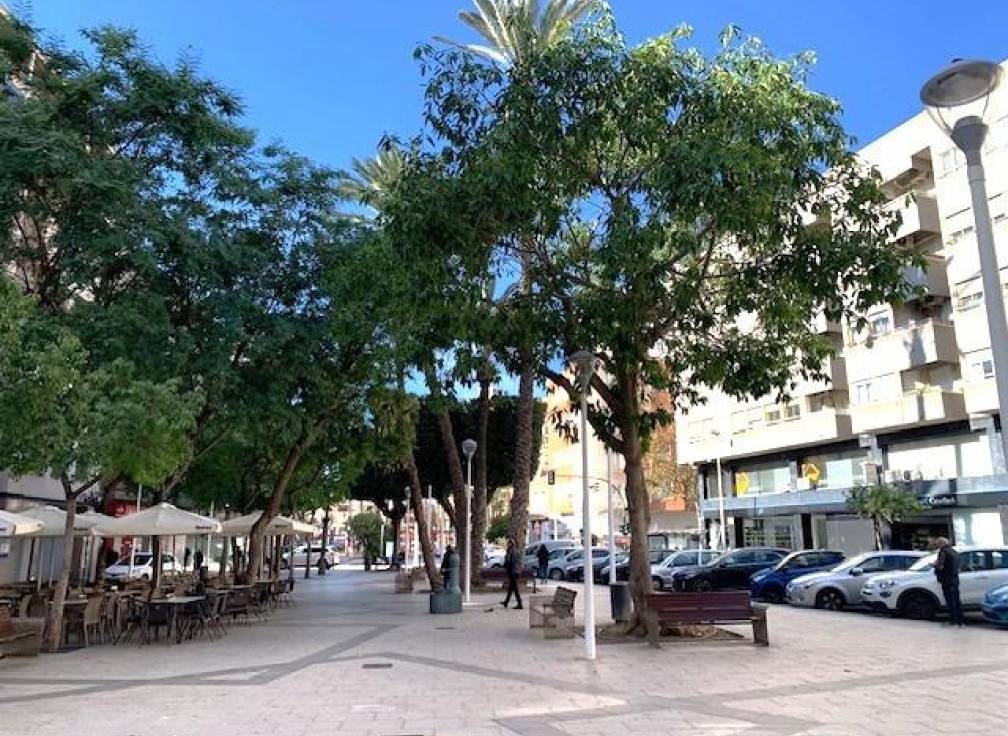 Segunda mano - Planta baja - Elche - Asilo - Pisos Azules