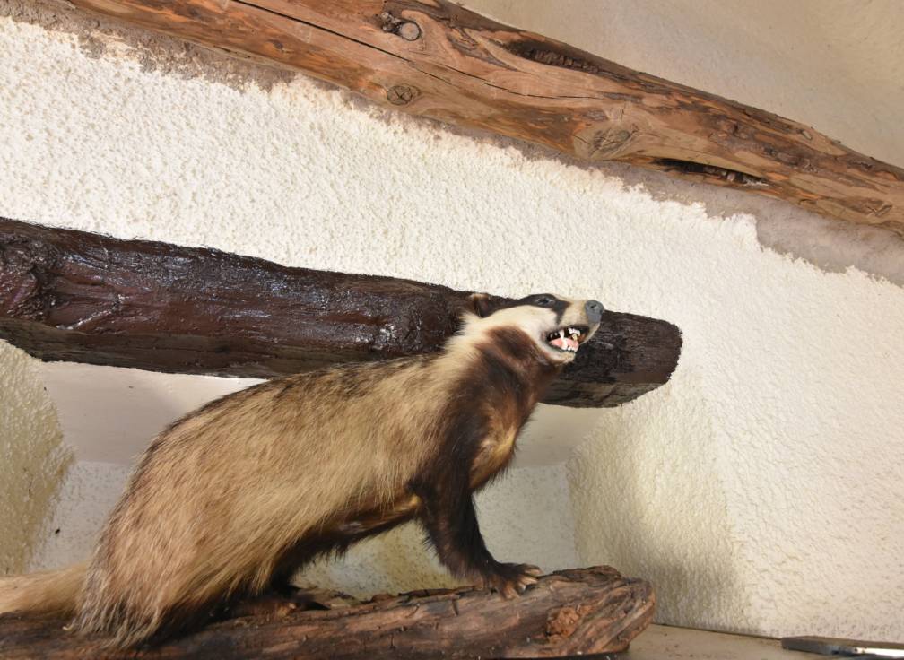 Segunda mano - Solar - Lietor - Castilla la mancha