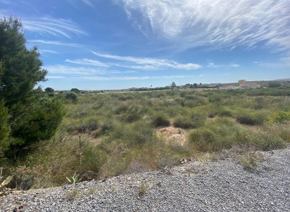 Segunda mano - Terreno rural - Elche Pedanías - LOS BALSARES