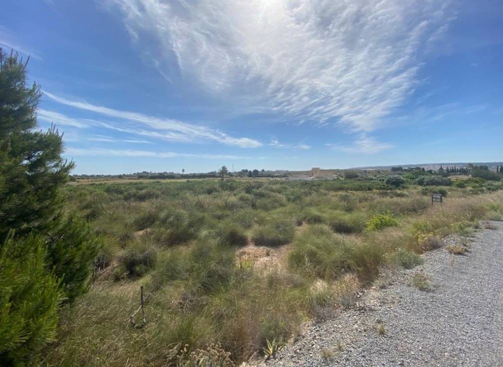 Segunda mano - Terreno rural - Elche Pedanías - LOS BALSARES