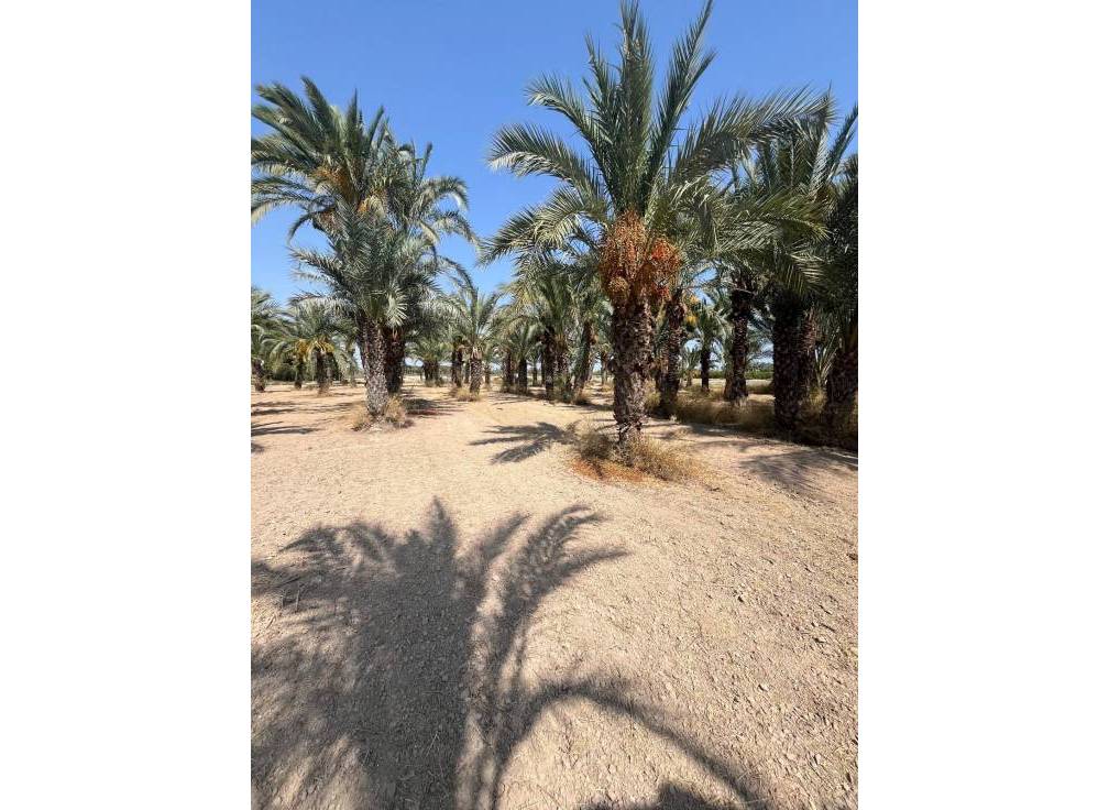 Segunda mano - Terreno rural - Matola - Algoda-Matola-Llano de San José