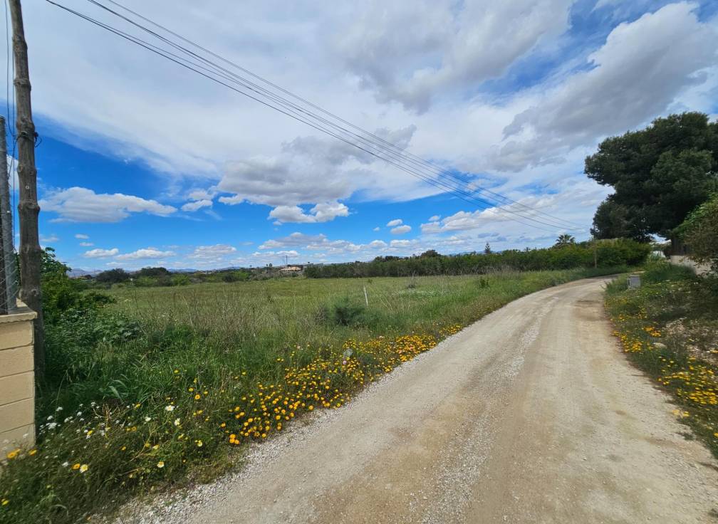 Segunda mano -  - Valverde (Alicante) - Valverde