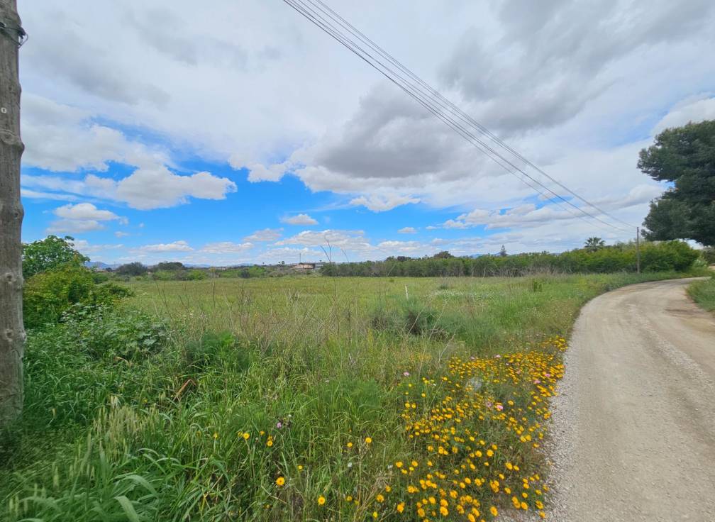 Segunda mano -  - Valverde (Alicante) - Valverde