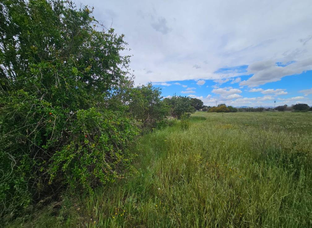 Segunda mano -  - Valverde (Alicante) - Valverde