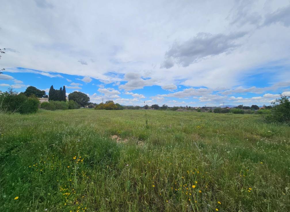 Segunda mano -  - Valverde (Alicante) - Valverde
