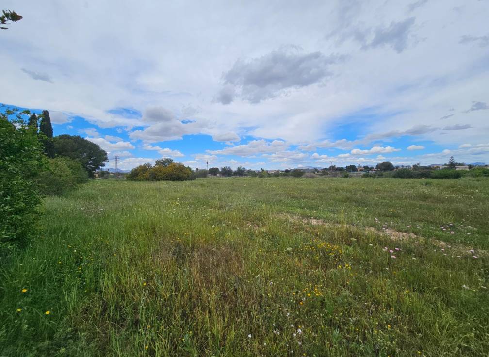 Segunda mano -  - Valverde (Alicante) - Valverde