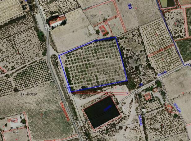 Terrain - Revente - Crevillent - 06975