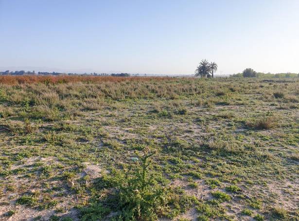 Terrain - Revente - La marina - Molar