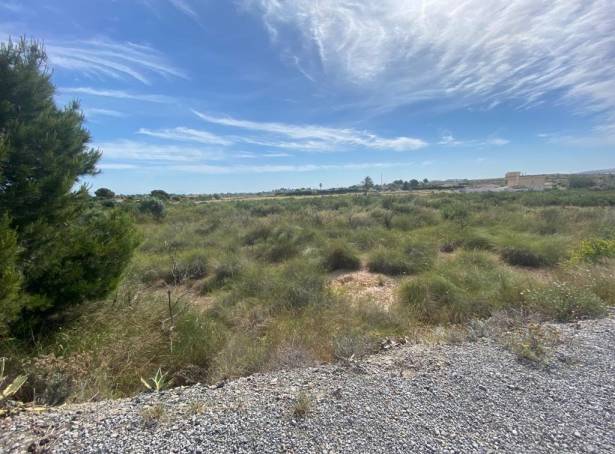 Terreno rural - Segunda mano - Elche Pedanías - LOS BALSARES